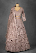 Dusty Mauve Hand-Embroidered Crop Top Lehenga Set with Net Dupatta