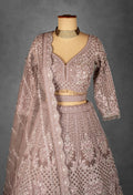 Dusty Mauve Hand-Embroidered Crop Top Lehenga Set with Net Dupatta