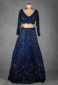 Navy Blue Sequin Embroidered Crop Top Lehenga Set with Net Dupatta