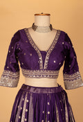 Elegant Banarasi Silk Lehenga Set – Royal Purple | Zari Weave With Crop Top & Dupatta