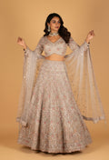 Champagne Heavy Embroidered Lehenga Set with Crop Top & Net Dupatta – Mirror & Sequin Handwork