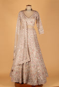 Champagne Heavy Embroidered Lehenga Set with Crop Top & Net Dupatta – Mirror & Sequin Handwork