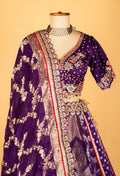Royal Purple Banarasi Zari Croptop Lehenga with Multicolor Hand Embroidery