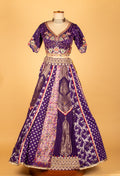 Royal Purple Banarasi Zari Croptop Lehenga with Multicolor Hand Embroidery