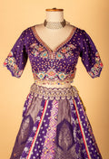 Royal Purple Banarasi Zari Croptop Lehenga with Multicolor Hand Embroidery