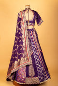 Royal Purple Banarasi Zari Croptop Lehenga with Multicolor Hand Embroidery