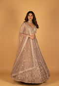 Champagne Gold Heavy Sequin & Mirror Embroidered Crop-Top Lehenga Set