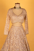 "  Champagne Gold Mirror-Embroidered Crop-Top Lehenga Set"