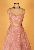 Blush Pink 3D Floral Hand-Embroidered Bridal Lehenga
