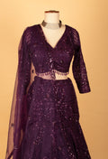 Deep Plum Sequin Embroidered Lehenga Set with Sheer Dupatta