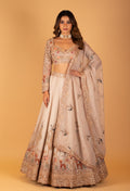 Pastel Peach Embroidered Lehenga with 3D Floral Work & Bird Motifs – Designer Bridal & Festive Wear