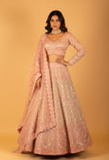 Blush Pink Heavy Sequin Embroidered Bridal Lehenga with Full-Sleeve Blouse & Dupatta