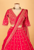 Red Embroidered Crop Top Lehenga Set with Heavy Border & Net Dupatta