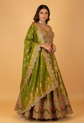 Olive Green Embroidered Crop Top Lehenga Set with Zari Work & Dupatta