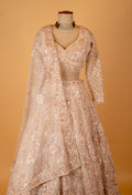 Champagne Ivory Embellished Crop Top Lehenga Set with Net Dupatta