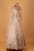 Champagne Ivory Embellished Crop Top Lehenga Set with Net Dupatta