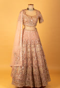 Rose Gold Embellished Crop Top Lehenga Set with Heavy Work & Net Dupatta