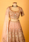 Rose Gold Embellished Crop Top Lehenga Set with Heavy Work & Net Dupatta