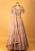 Rose Gold Embellished Crop Top Lehenga Set with Heavy Work & Net Dupatta