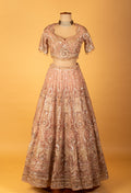 Rose Gold Embellished Crop Top Lehenga Set with Heavy Work & Net Dupatta