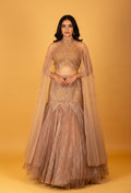 Champagne Gold Embellished Crop Top Lehenga Set with Sheer Cape
