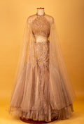 Champagne Gold Embellished Crop Top Lehenga Set with Sheer Cape
