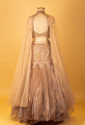 Champagne Gold Embellished Crop Top Lehenga Set with Sheer Cape