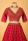 Deep Red Bridal Embroidered Crop Top Lehenga Set with Net Dupatta