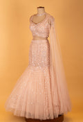 Blush Pink Sequin Embroidered Mermaid Lehenga Set for Weddings & Receptions