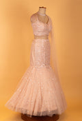 Blush Pink Sequin Embroidered Mermaid Lehenga Set for Weddings & Receptions