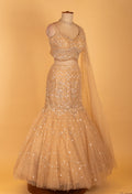 Champagne Gold Sequin Embellished Mermaid Lehenga Set for Wedding & Bridal Occasions
