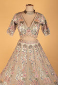 Pastel Multi-Color Embroidered Designer Bridal Lehenga Set with Net Dupatta