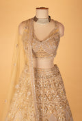 Champagne Gold Bridal Lehenga Choli with Net Dupatta