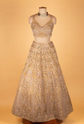 Champagne Gold Bridal Lehenga Choli with Net Dupatta