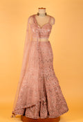 Rose Gold Embroidered Lehenga Choli with Net Dupatta