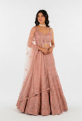 Rose Gold Embroidered Lehenga Choli with Net Dupatta