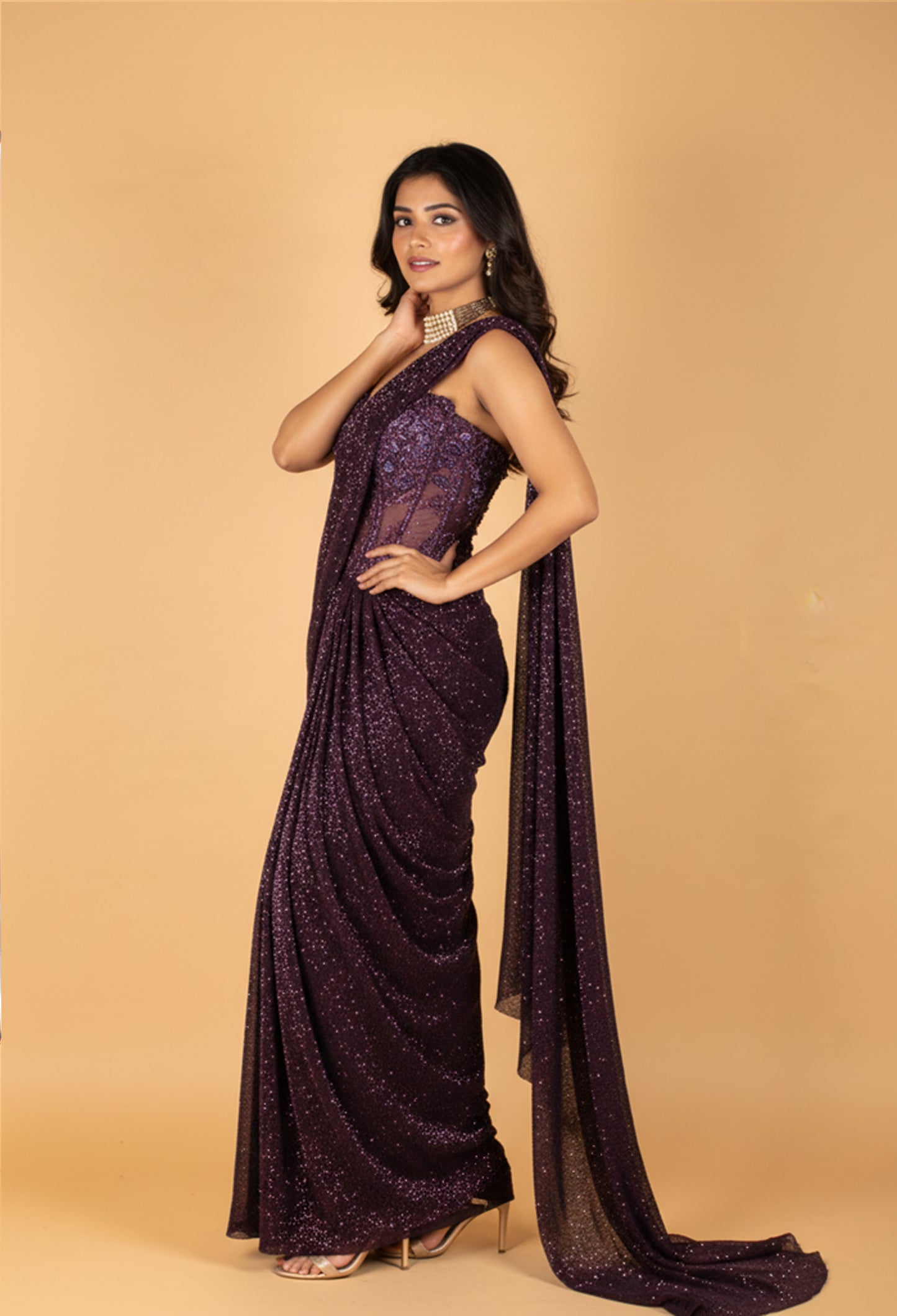 Luxury Wine Purple Sequin Saree with Designer Embellished Blouse